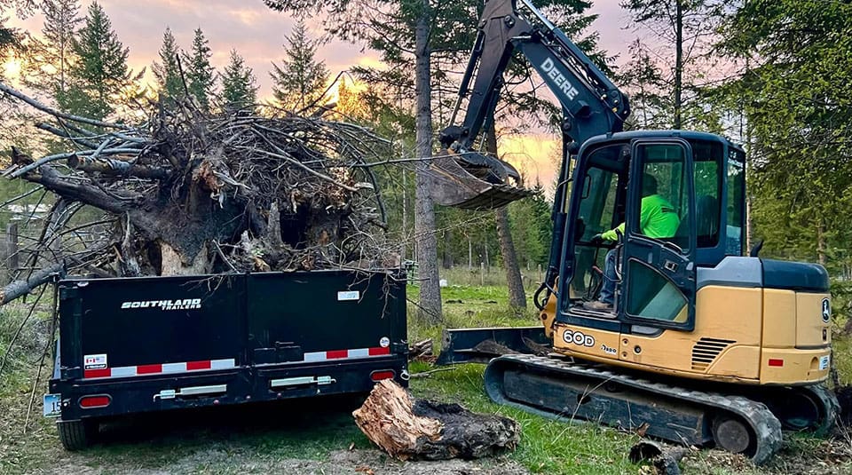 Tree Removal