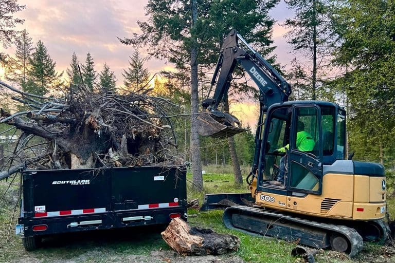 Tree and Stump Removal